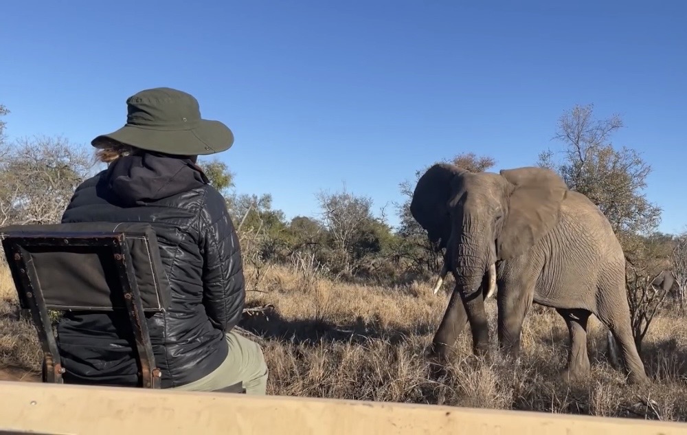 caroline langevoord eyeineye elephant southafrica