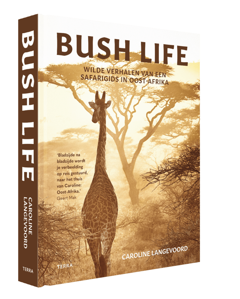 Reviews bush life 3d