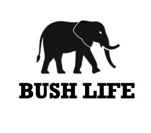 Logo Bushlife Voor Website Reviews 300 300